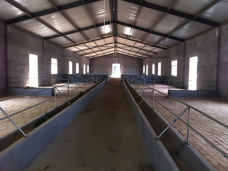 Galvanized Steel Cowshed In Australia